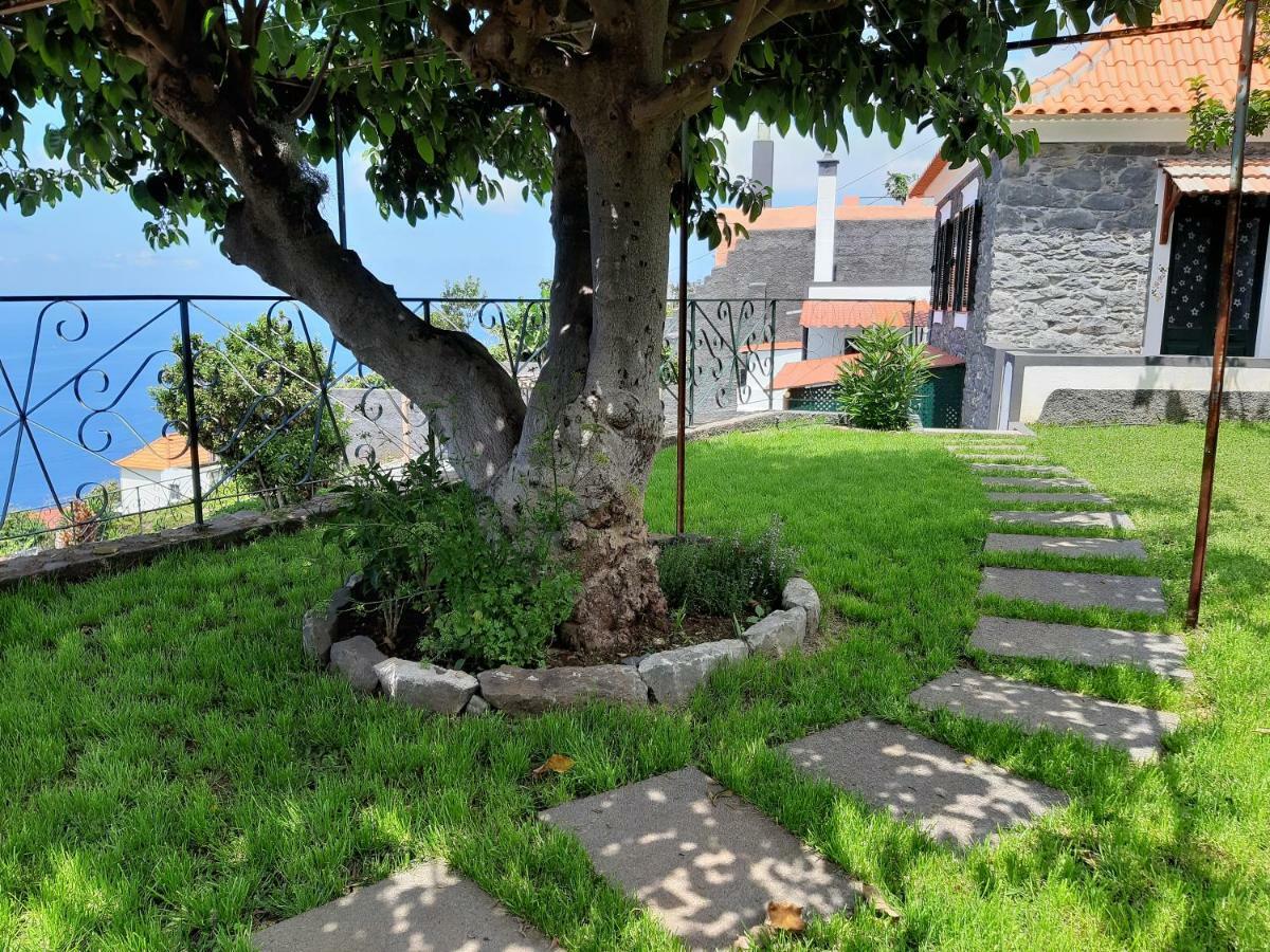 Casa Velha D Fernando E Casa Avo Augusta Hotel Ribeira Brava Bagian luar foto