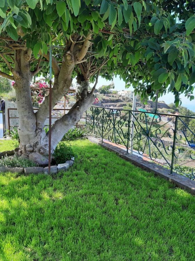 Casa Velha D Fernando E Casa Avo Augusta Hotel Ribeira Brava Bagian luar foto